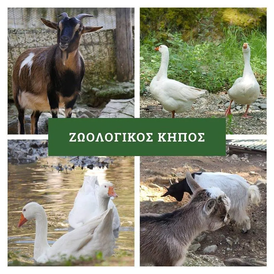Στουντιο Κοντά Στην Κλινική Αγ Λουκα Thessaloniki